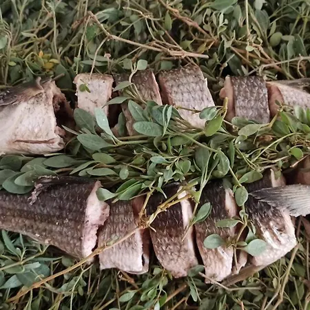 Il Tuo Relax Affittacamere 3*