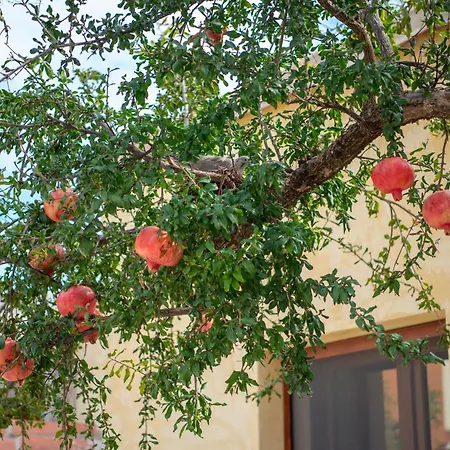 בית הארחה Il Tuo Relax